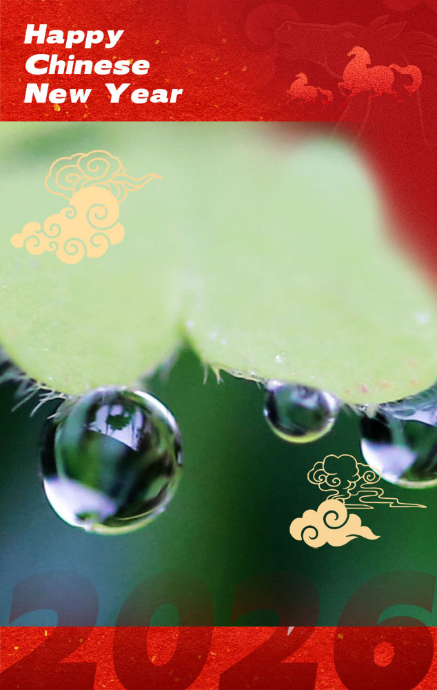 Discover Yantai tweet media