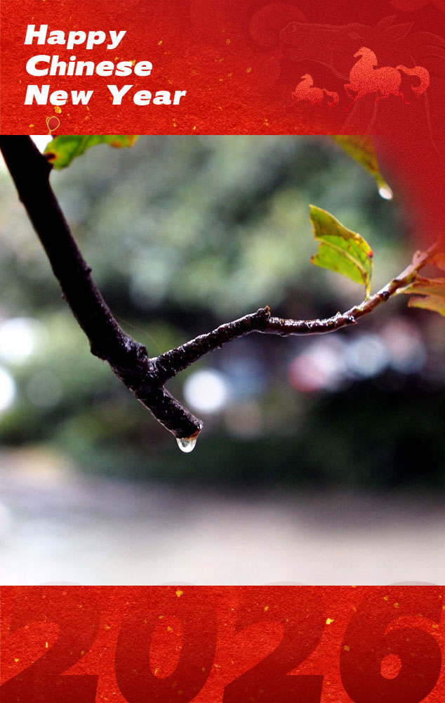 Discover Yantai tweet media