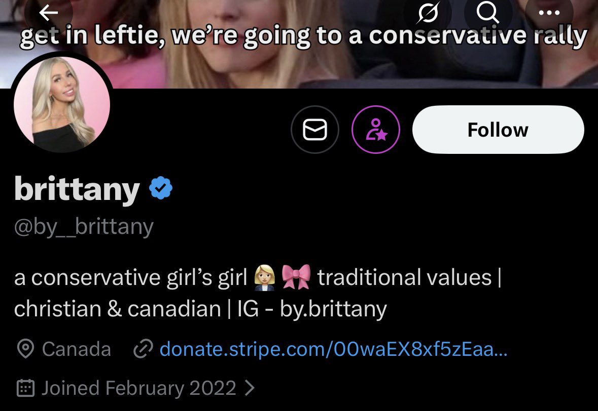 atRachelGilmore's tweet photo. When you call yourself a “girl’s girl” in your bio, but in reality you’re a pick me grifter with a bad dye job: https://t.co/0O9D8Djydi