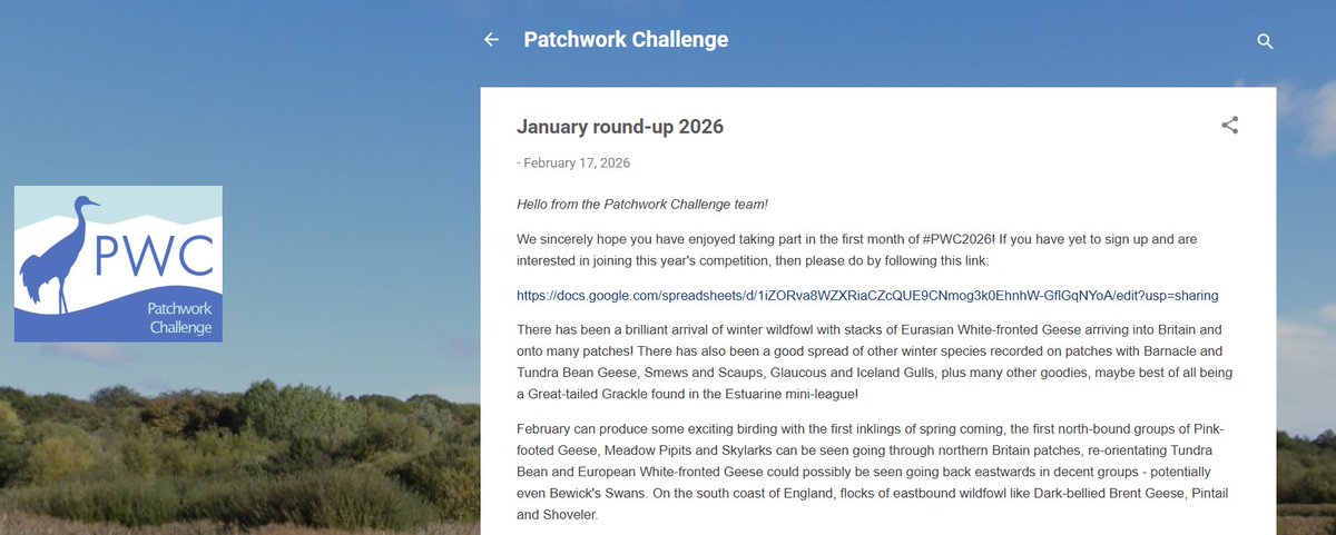 Patchwork Challenge tweet media