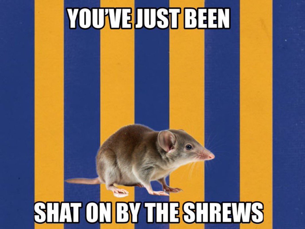 Ross Wilkin tweet media