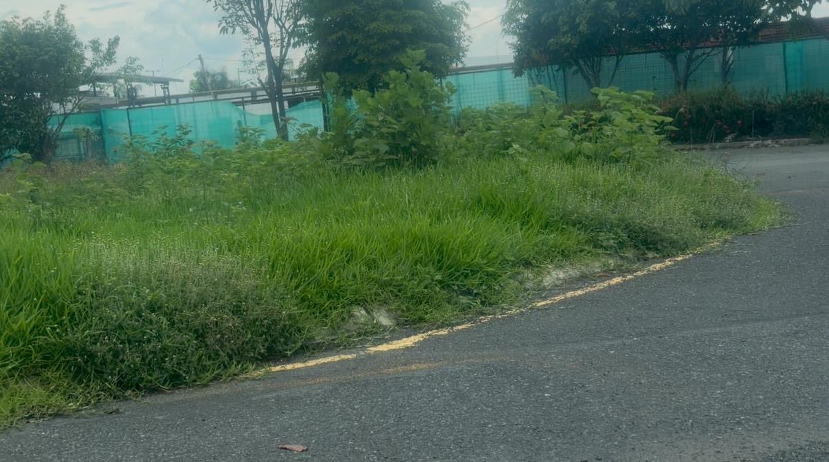 elymollejuo's tweet photo. @MuniSamborondon @juanjoseyunez se le olvidó al alcalde ciudad Celeste un abandono total  no le importa el descuido total. @elcomerciocom @el_telegrafo @teleamazonasec https://t.co/rEDHC5LNH2
