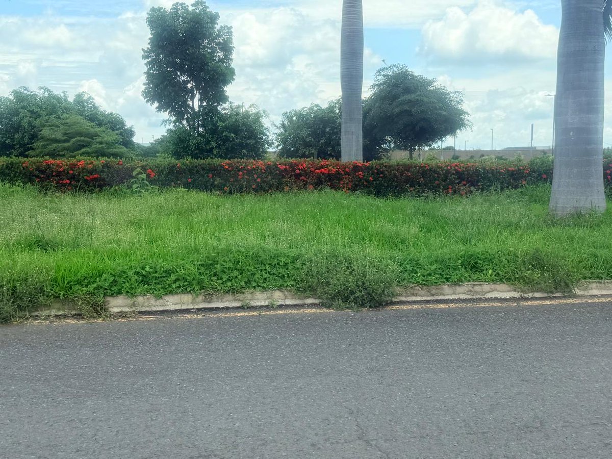 elymollejuo's tweet photo. @MuniSamborondon @juanjoseyunez se le olvidó al alcalde ciudad Celeste un abandono total  no le importa el descuido total. @elcomerciocom @el_telegrafo @teleamazonasec https://t.co/rEDHC5LNH2
