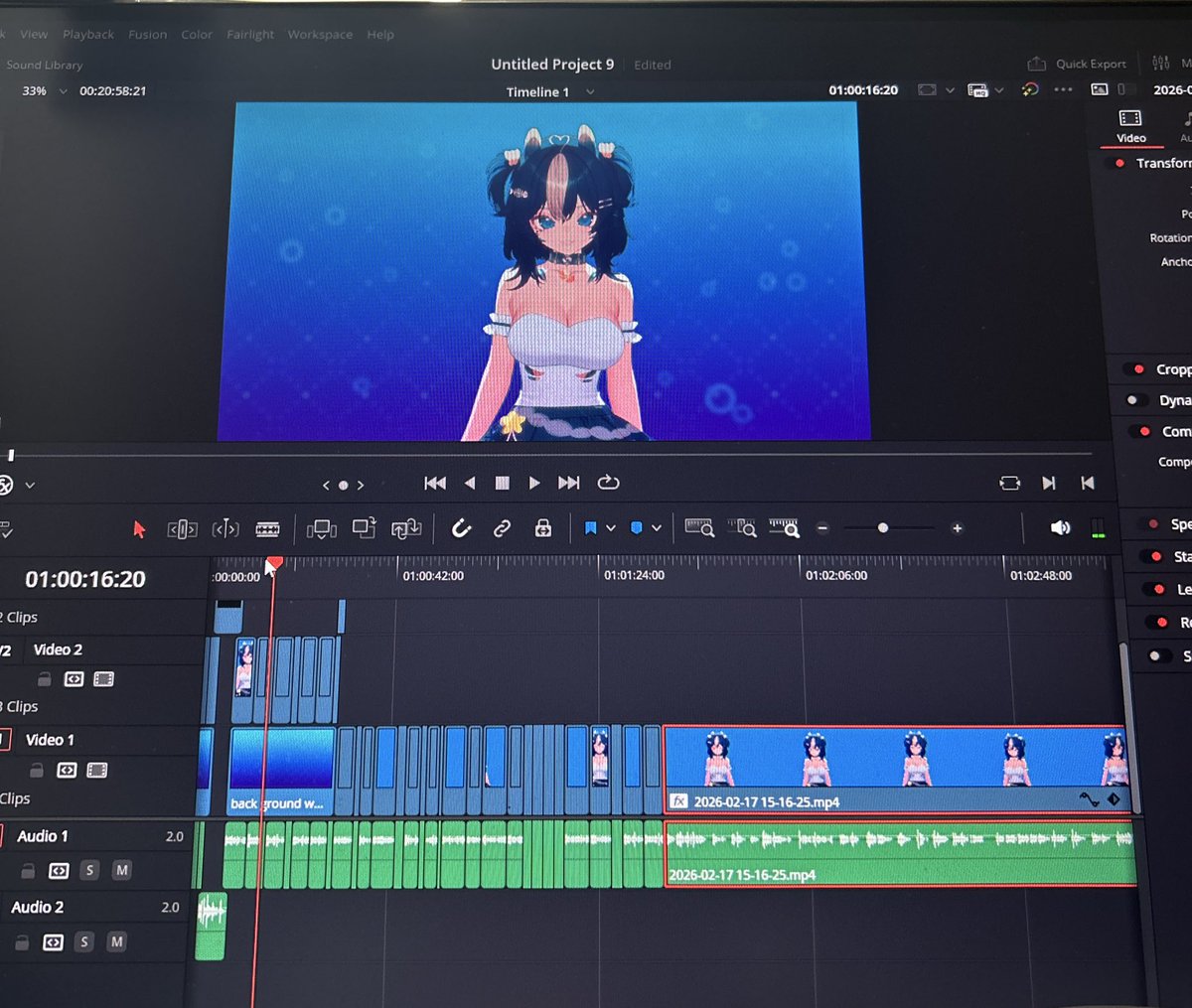 Malummii | Seal Slug VT🦐🫧 tweet media