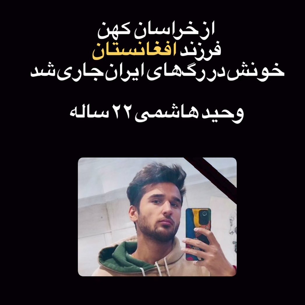 کروکودیل ادواری 🐊 tweet media