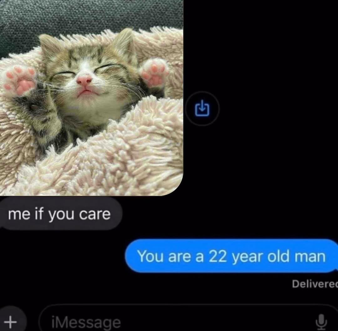 smol silly cat (@catsillyness) on Twitter photo 