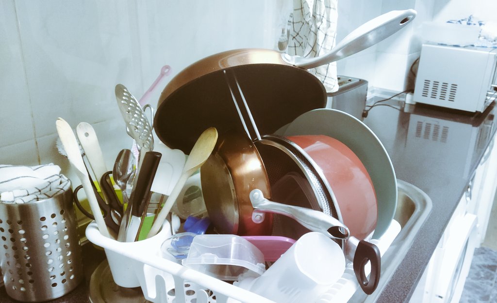 Ratoncilla de campo tweet media