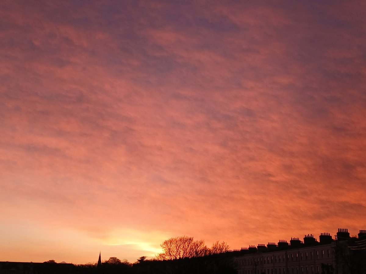 Dr Emma Lyons tweet media