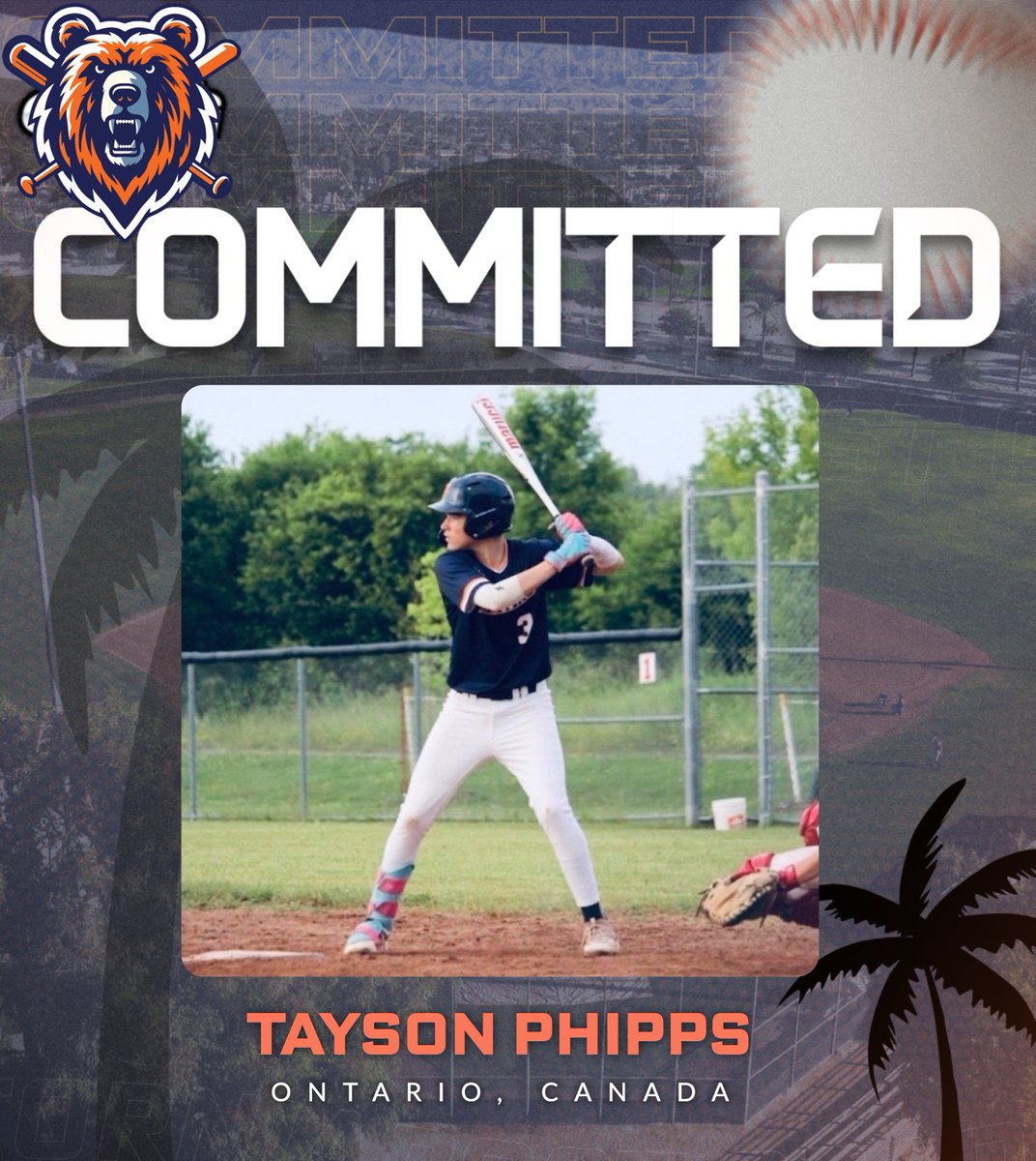 California Grizzlies Collegiate Baseball tweet media