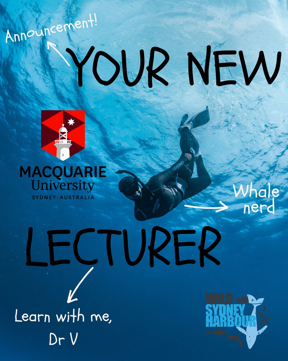 Dr. Vanessa Pirotta tweet media