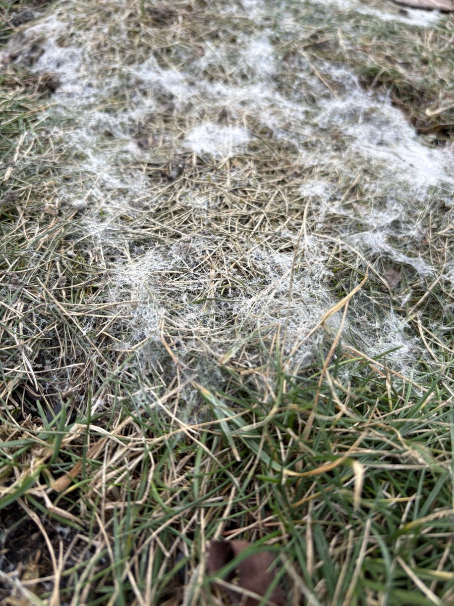 Pat Jones tweet media