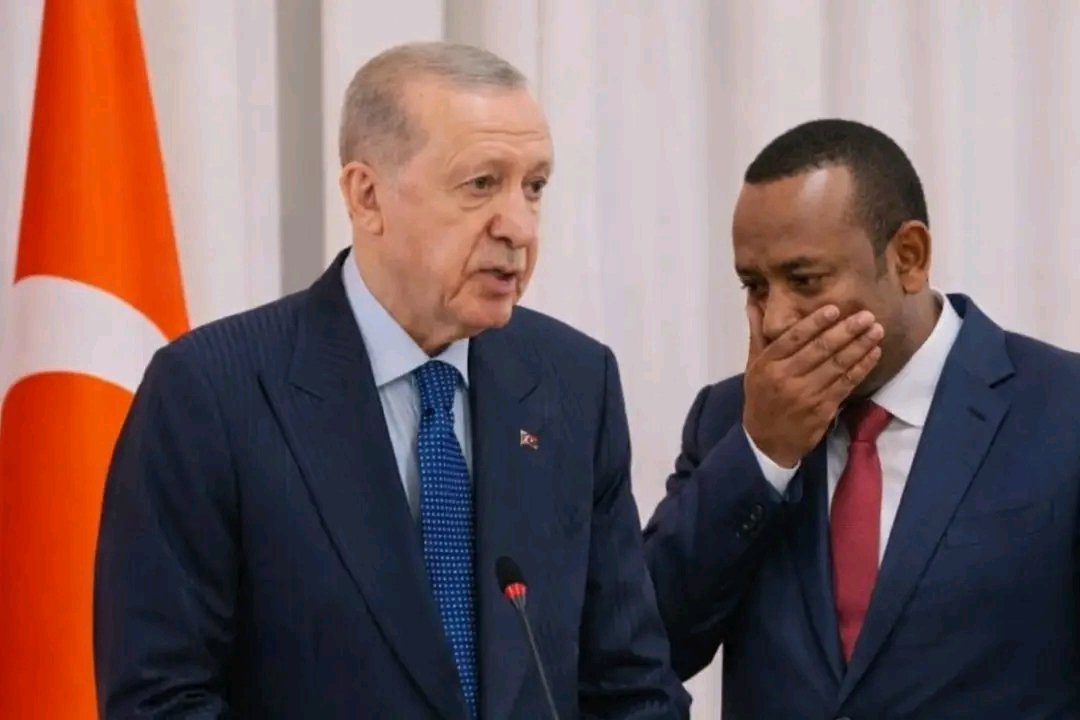 isaias_afwerki's tweet photo. Erdogan slapped him by reminding him sovereign sea outlet is a dream #Ethiopia will never ever achieve. https://t.co/73wuZ1xJDH