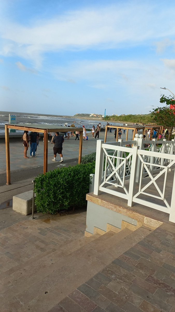 andreayfelipe2022 tweet media