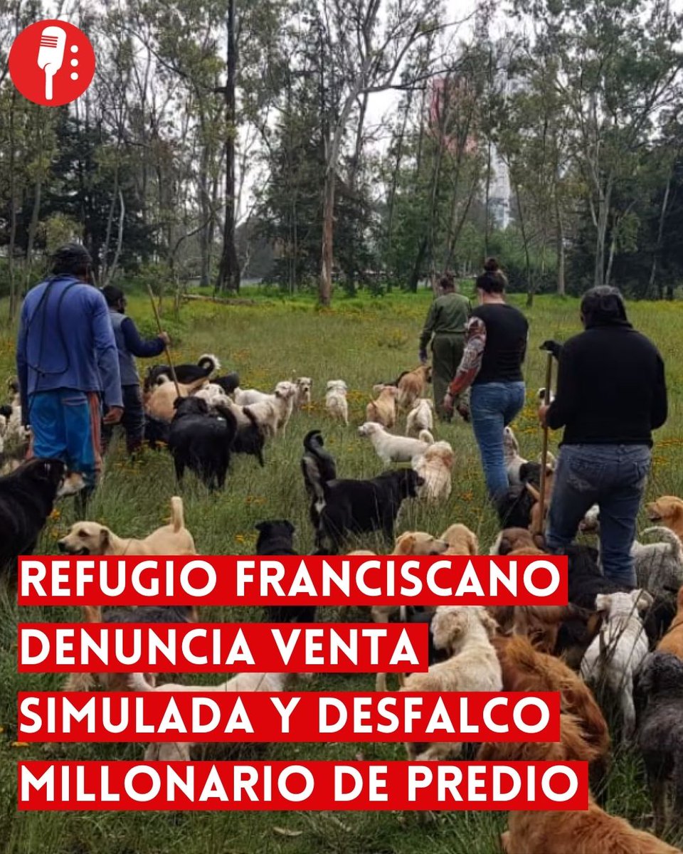 ⭕ OJO | REFUGIO FRANCISCANO DENUNCIA VENTA SIMULADA Y DESFALCO MILLONARIO DE PREDIO

El Refugio Franciscano A.C. (<a href="/Ref_Franciscano/">REFUGIO FRANCISCANO AC</a>) presentó una denuncia penal contra la Fundación Haghenbeck (<a href="/FAHaghenbeck/">FAH</a>) acusándola de mentir sobre la superficie y valor real del predio,