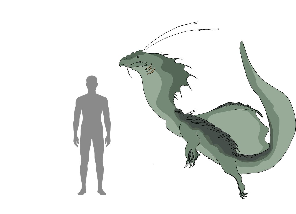 Number 1 Vee Hater tweet media