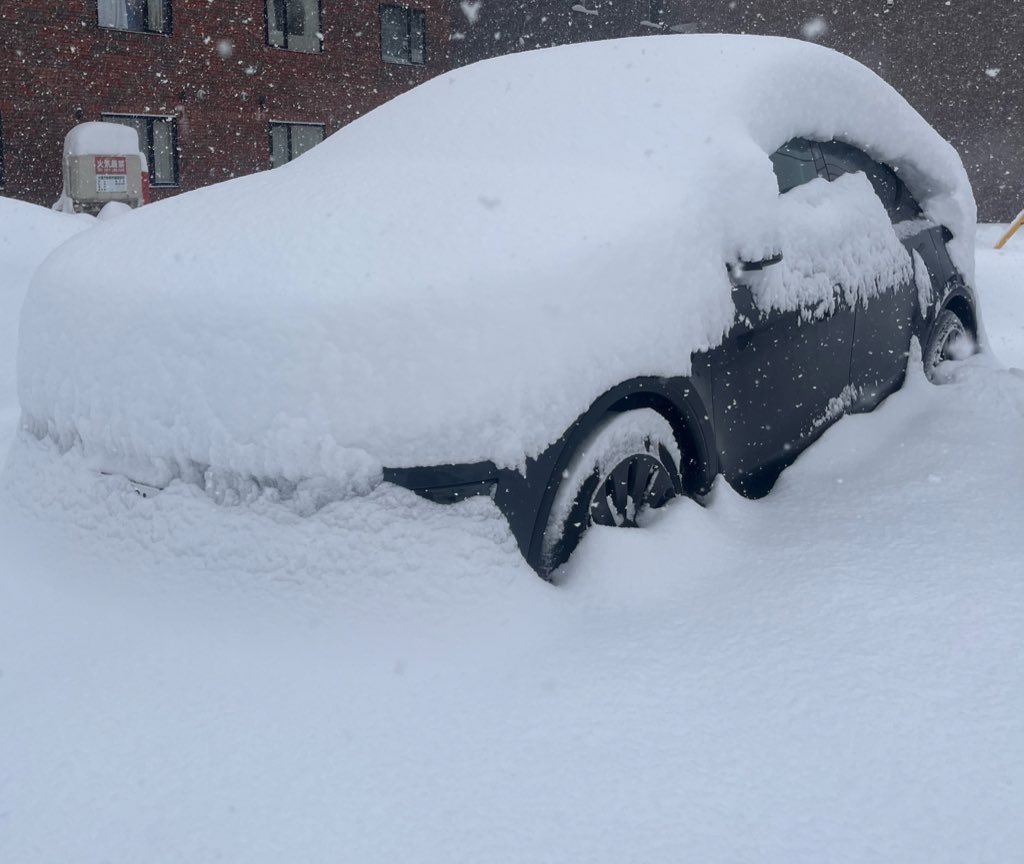 妖精あんず@Teslaで人生激変😇 tweet media