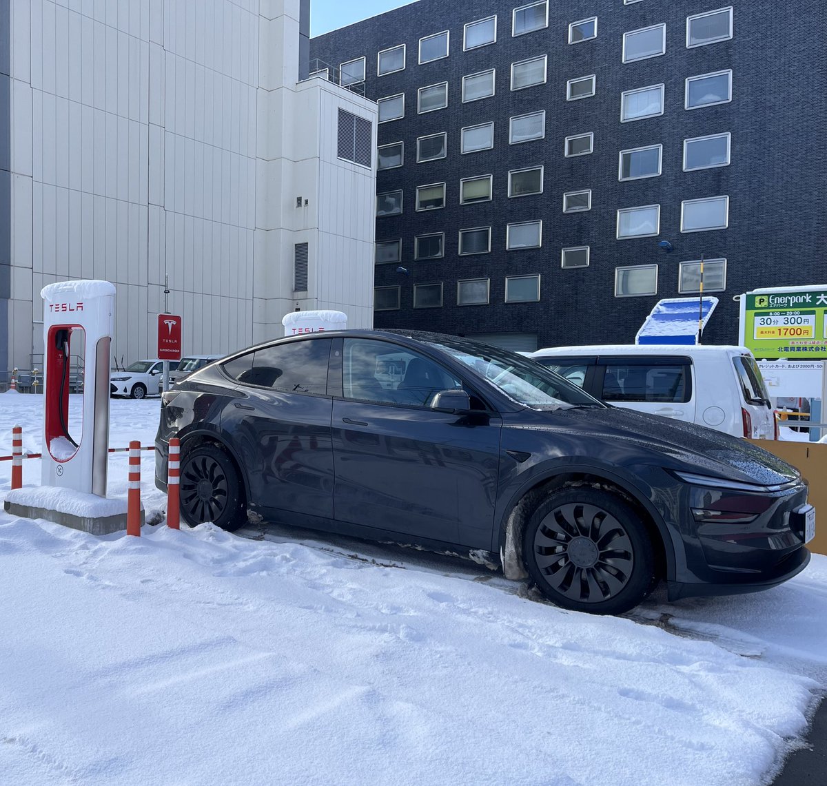 妖精あんず@Teslaで人生激変😇 tweet media