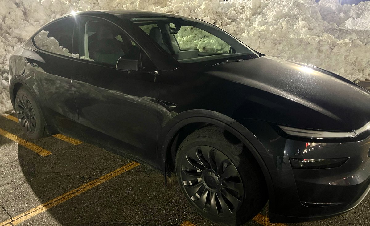 妖精あんず@Teslaで人生激変😇 tweet media