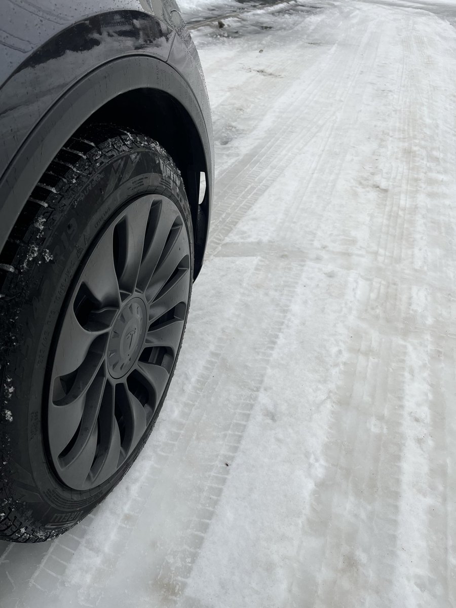 妖精あんず@Teslaで人生激変😇 tweet media