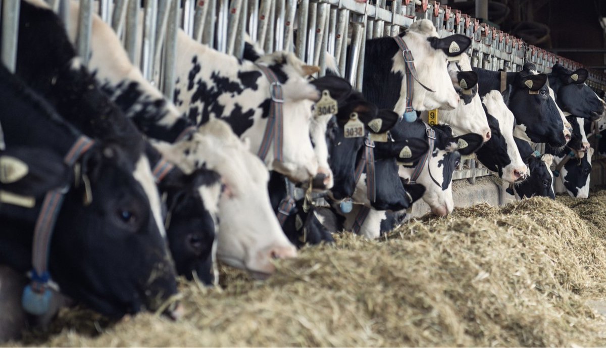 UBC Faculty of Land and Food Systems tweet media