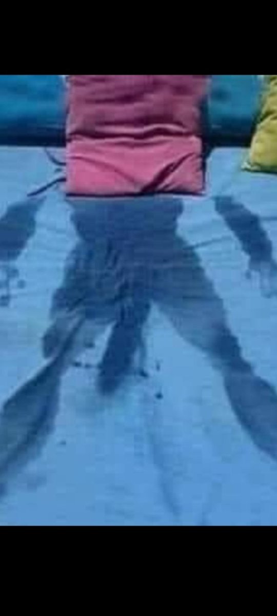 Solo tomé una siesta y asi desperté. Está intenso, el calor 🥵🥵🥵🥵