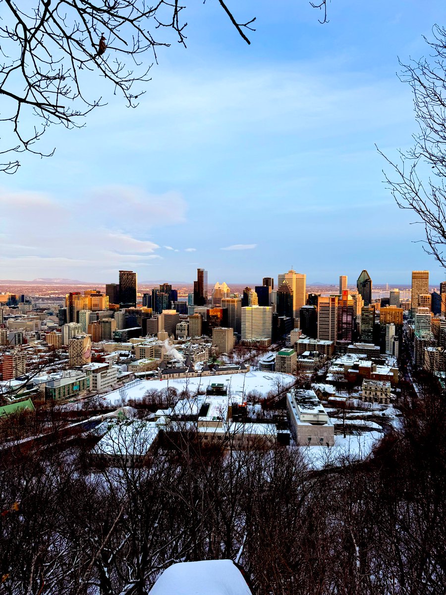 TrailLog's tweet photo. 🚶‍♂️🌇 https://t.co/vt43qd0gpb