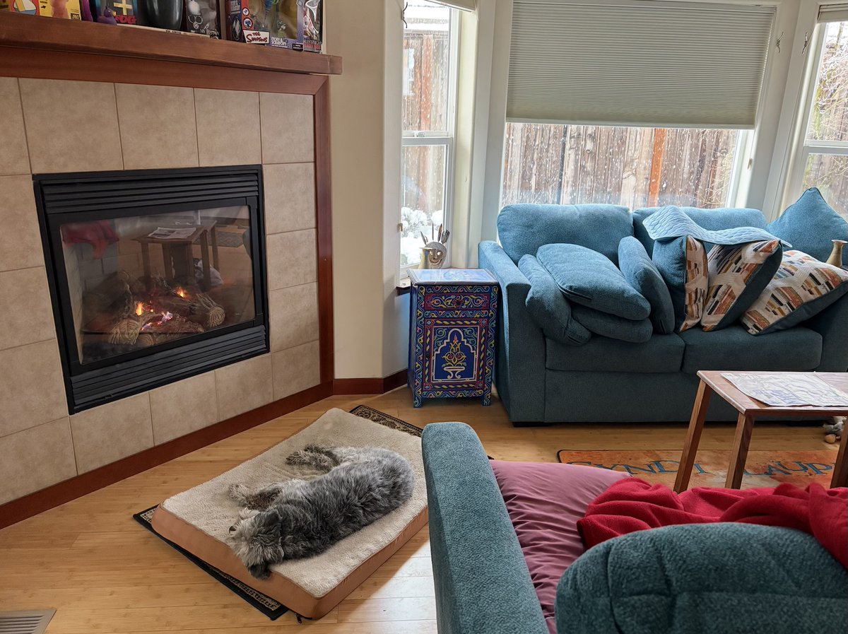 SHIRLEY LOST HER SHIT tweet media