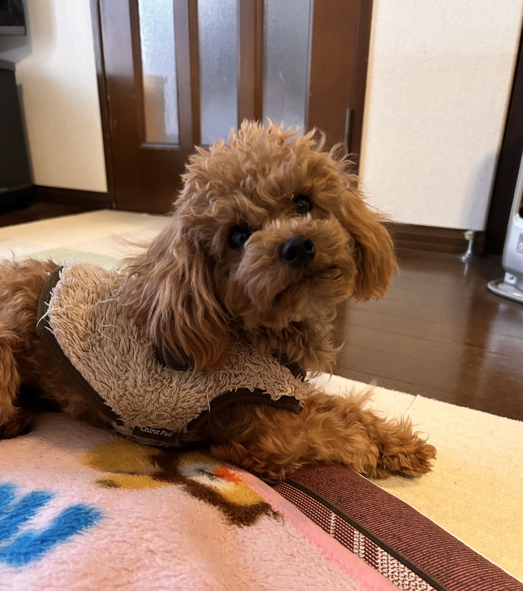 かずちゃん (@kazu13chan) / Posts / X