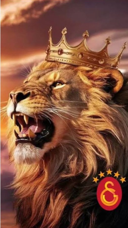 Aslanların payını çakallar yiyemez.....