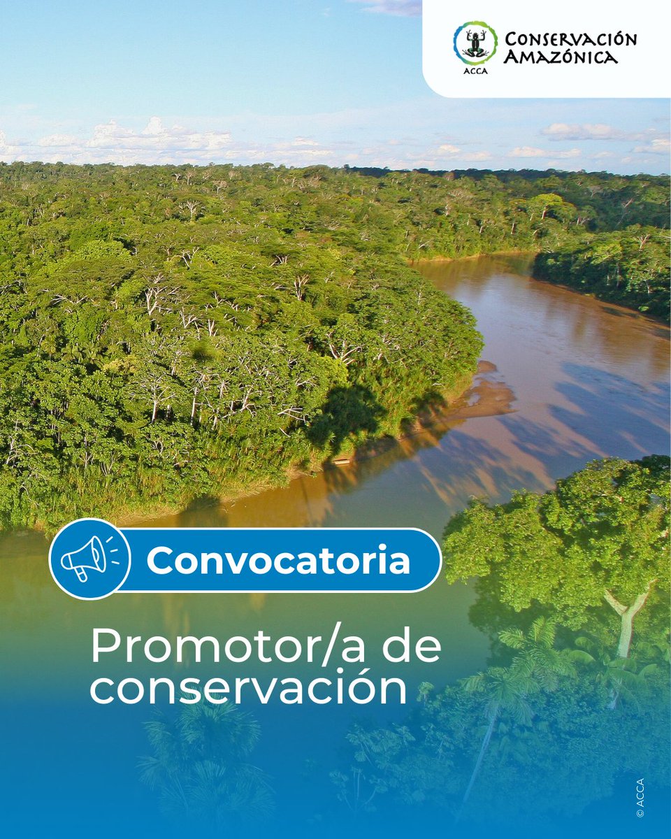 Conservación Amazónica - ACCA tweet media