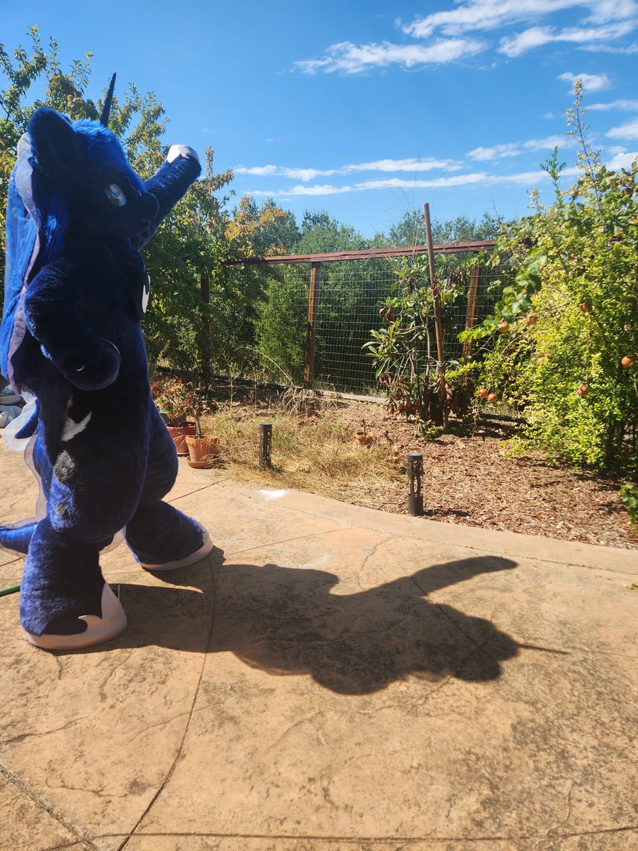 Princess Luna tweet media