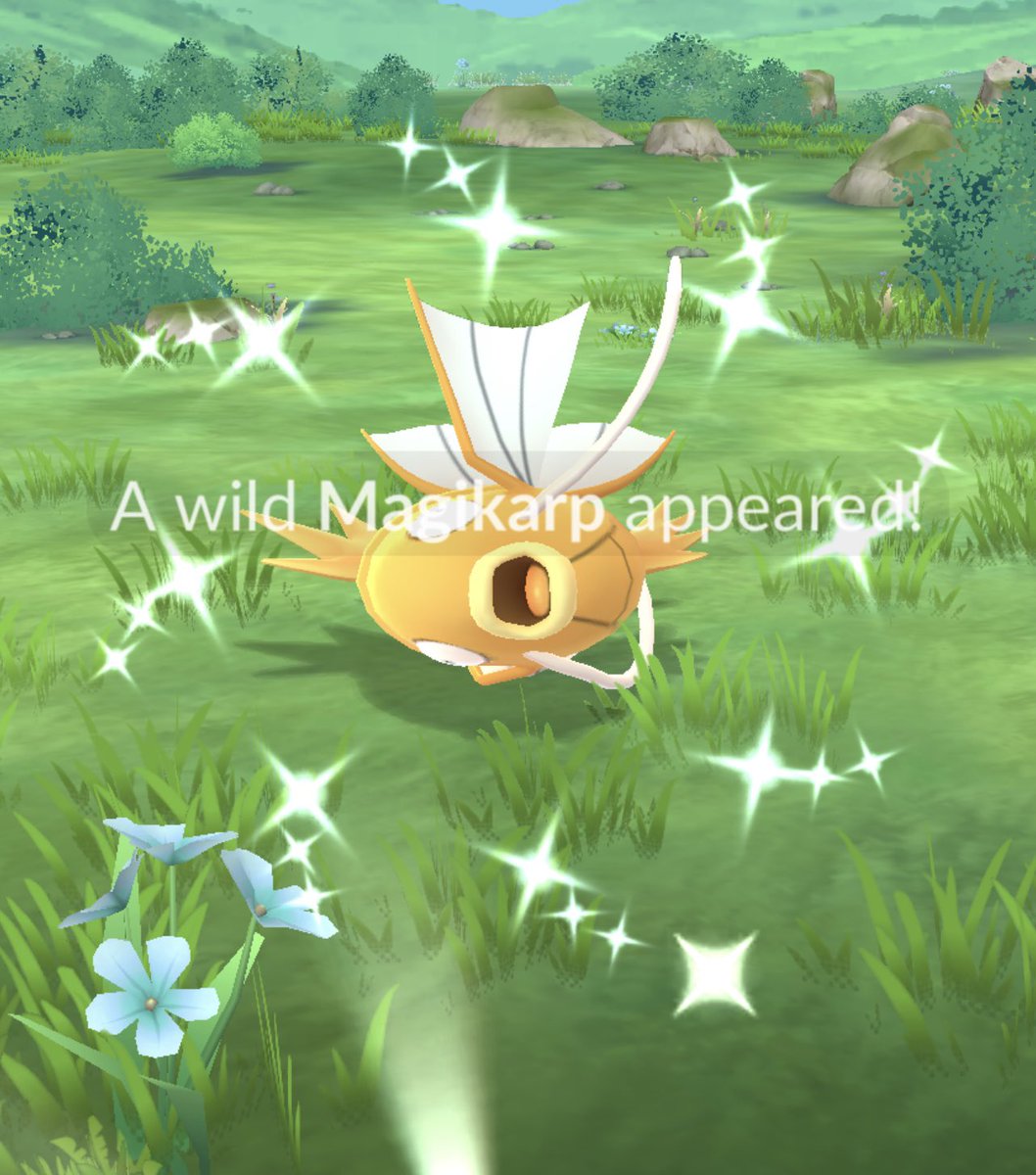 ESucisimo's tweet photo. Shiny Tuesday #PokemonGO #shinypokemon https://t.co/0FUz7s60N3