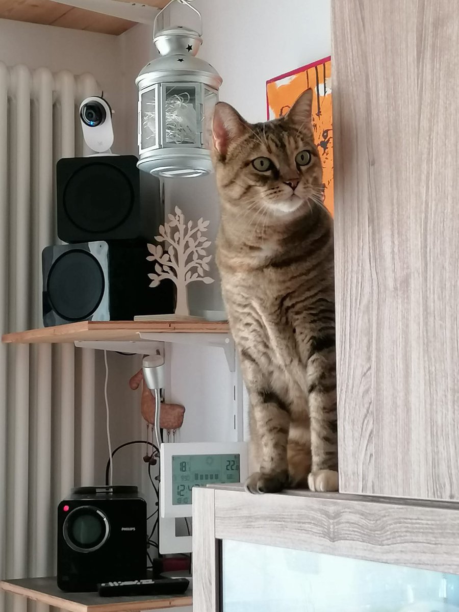 revengeCat's tweet photo. amore spiegato facile ❤️ https://t.co/aDrg5OTVpI