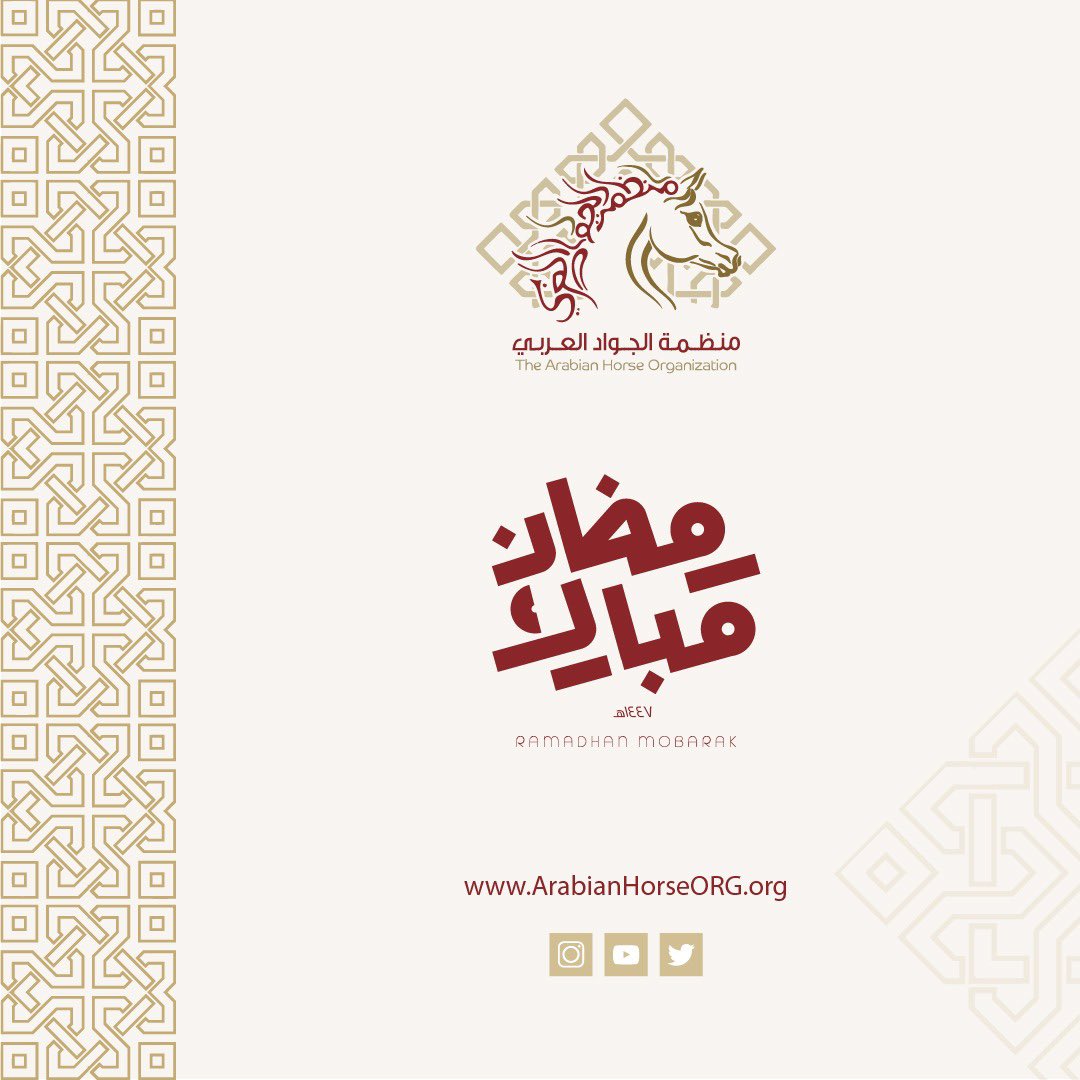 منظمة الجواد العربي (@arabianhorseorg) on Twitter photo 