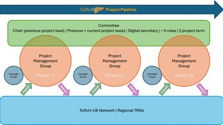 ToRcH-UK tweet media
