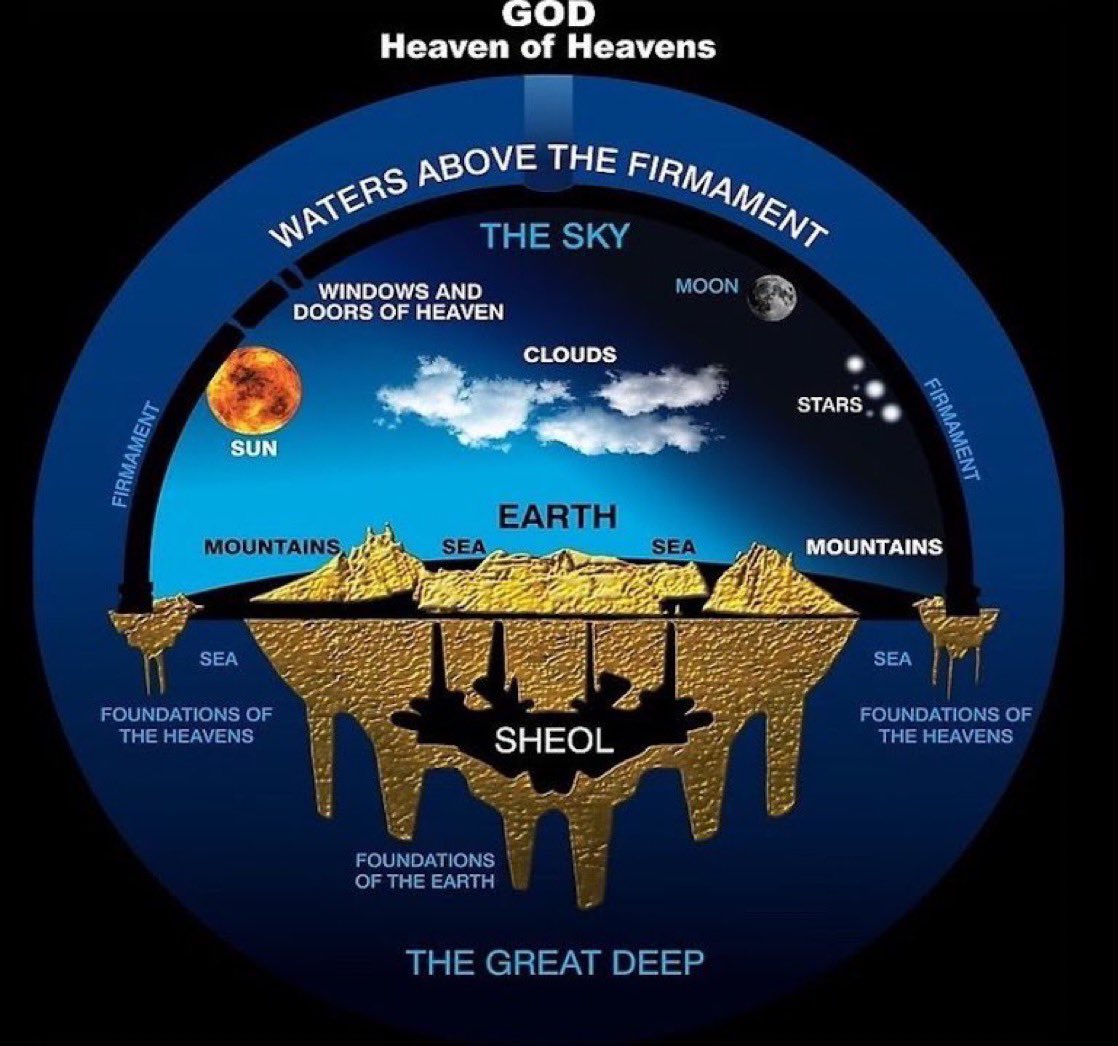 FirstWon tweet media