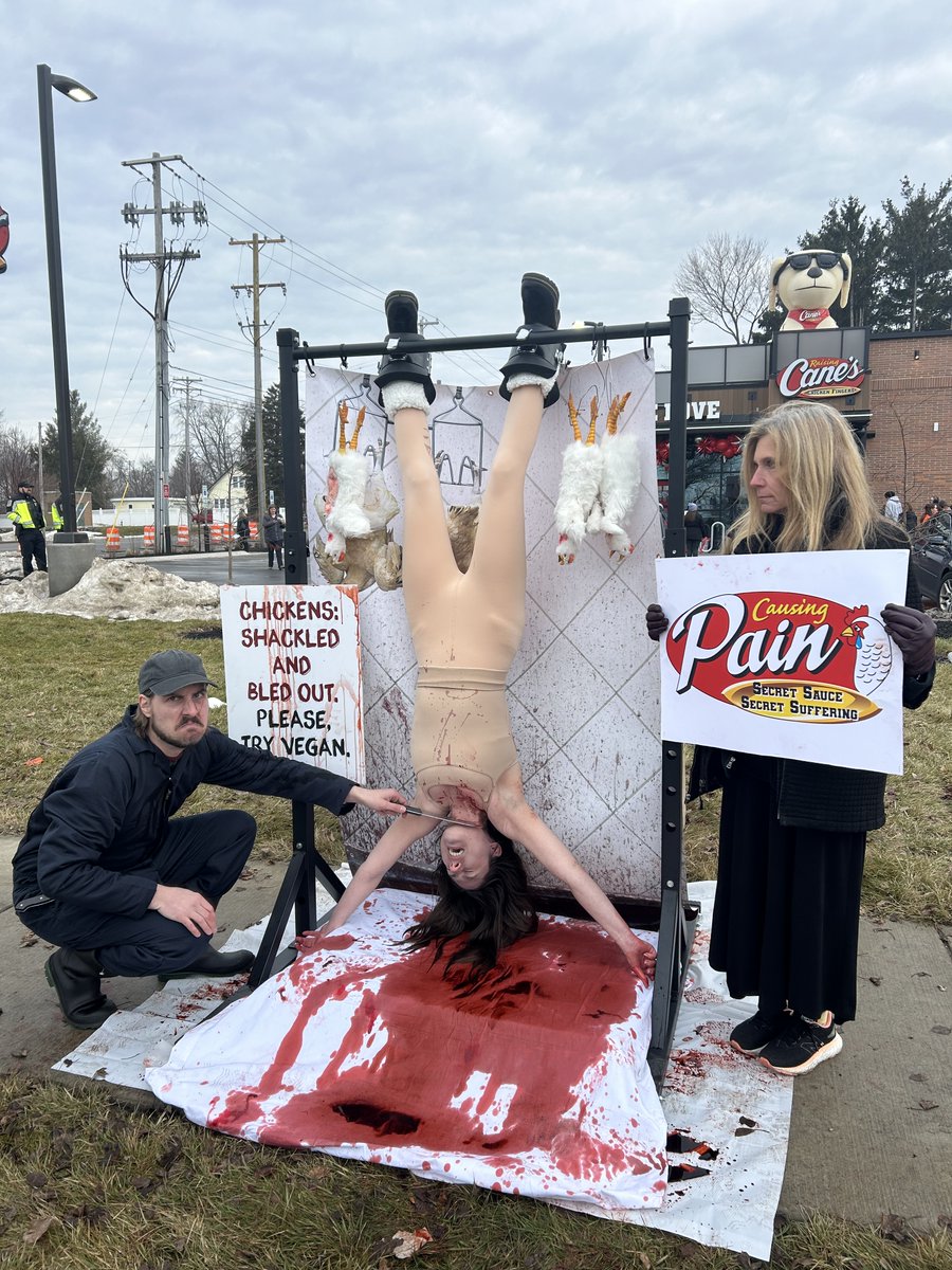 This is what <a href="/raisingcanes/">Raising Cane's</a> doesn’t show you.

Outside Raising Cane's in Seattle, WA, Santa Ana, CA, and Portage, MI, PETA supporters are exposing the terror of slaughterhouses—because every chicken combo starts with a life taken.