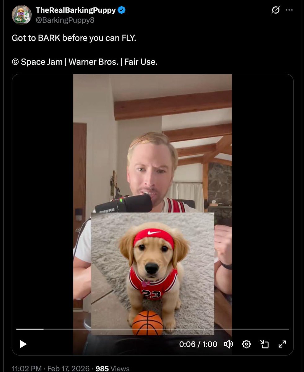 buddywatching's tweet photo. buddy is watching 👀 https://t.co/VtpXjIi3rV