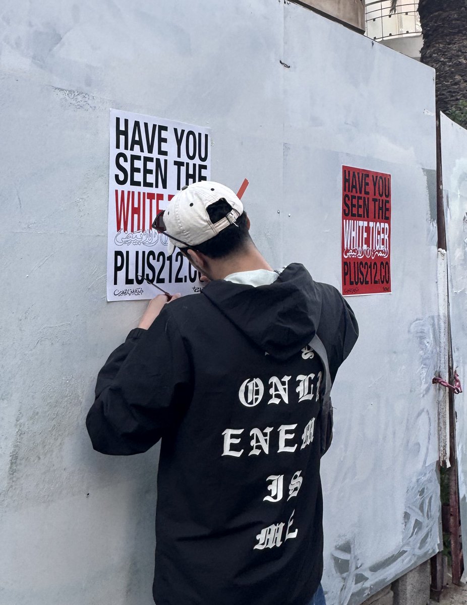 PLUS212 ® tweet media