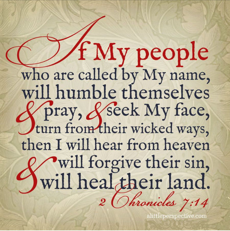 Neensaa's tweet photo. @DOWResponse https://t.co/SsqlZv1FIu