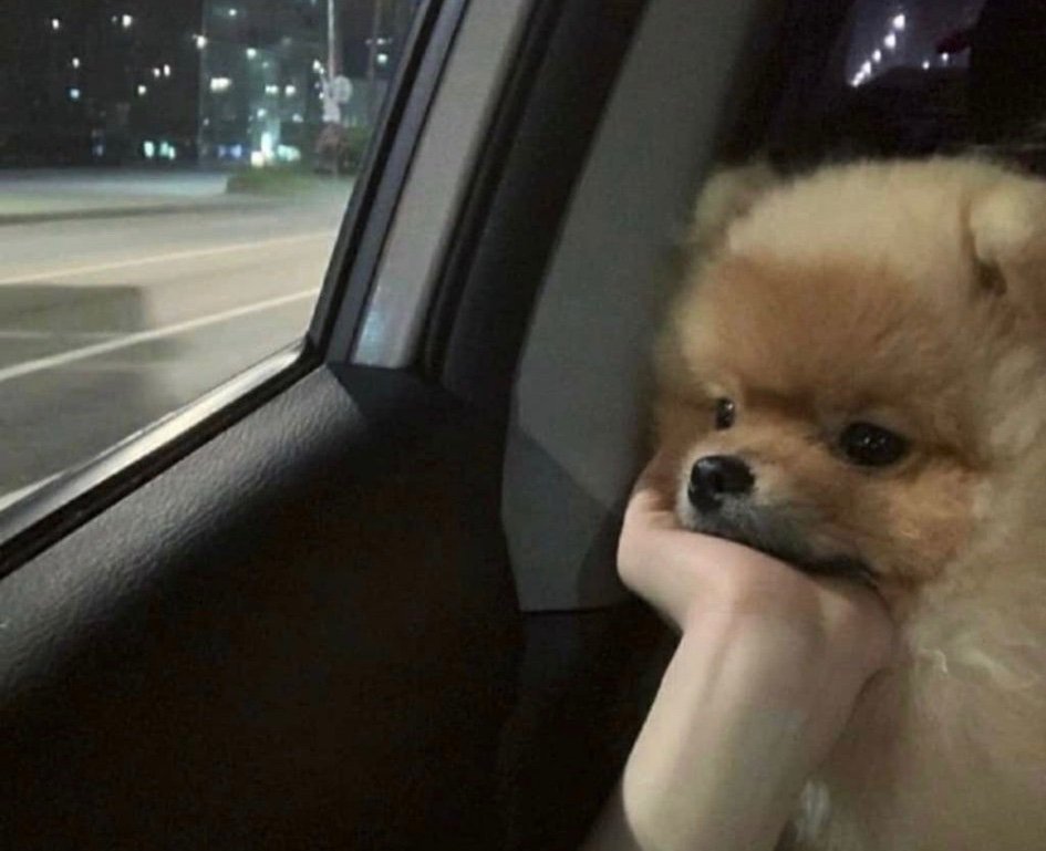 Daisy Chainz tweet media