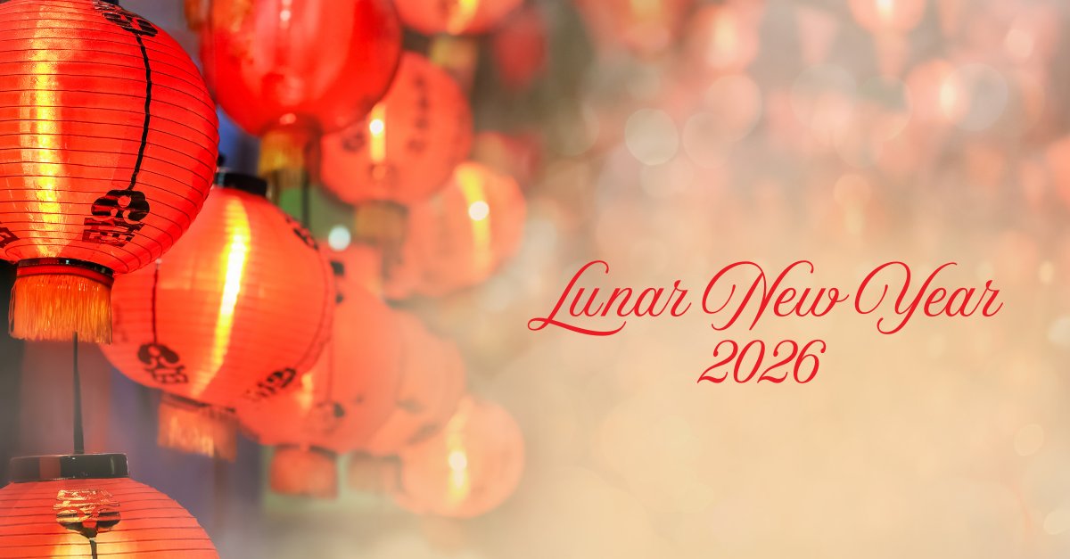 Triverus Consulting tweet media