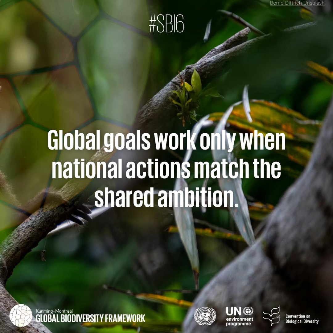 UN Biodiversity tweet media