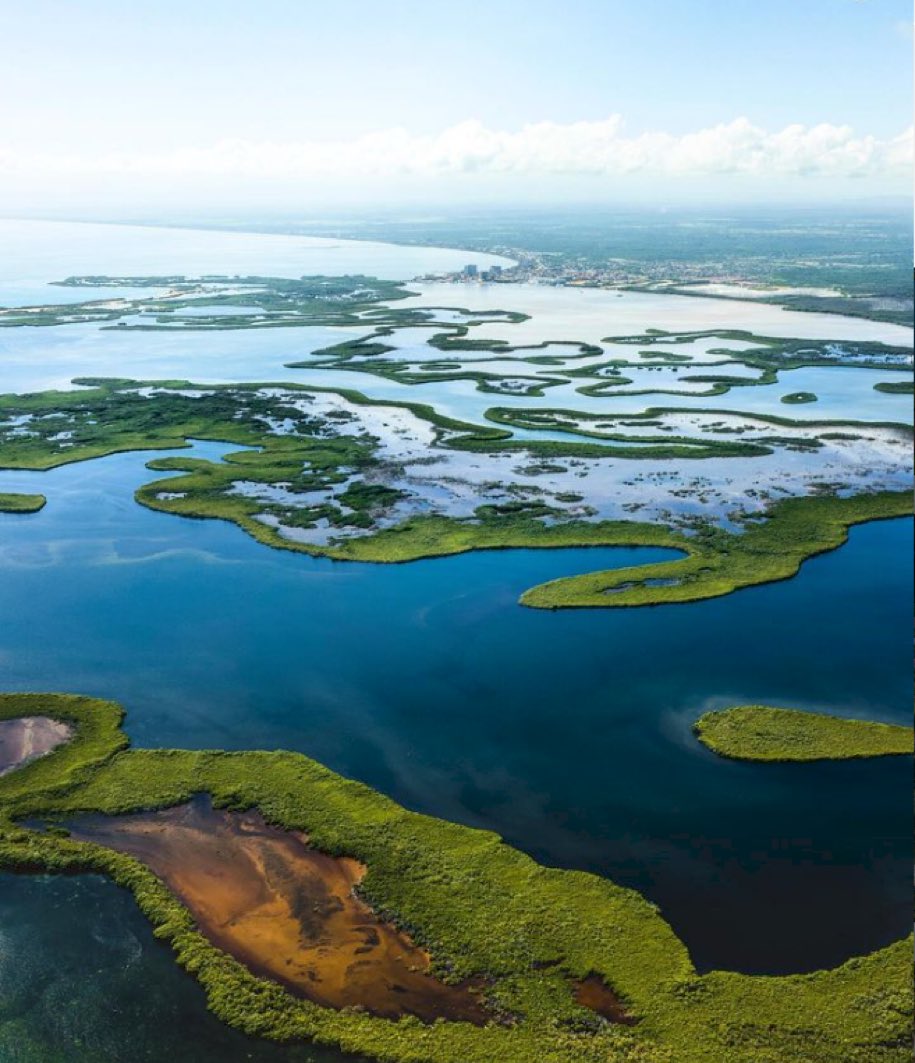 Fundación Caribe Sur tweet media