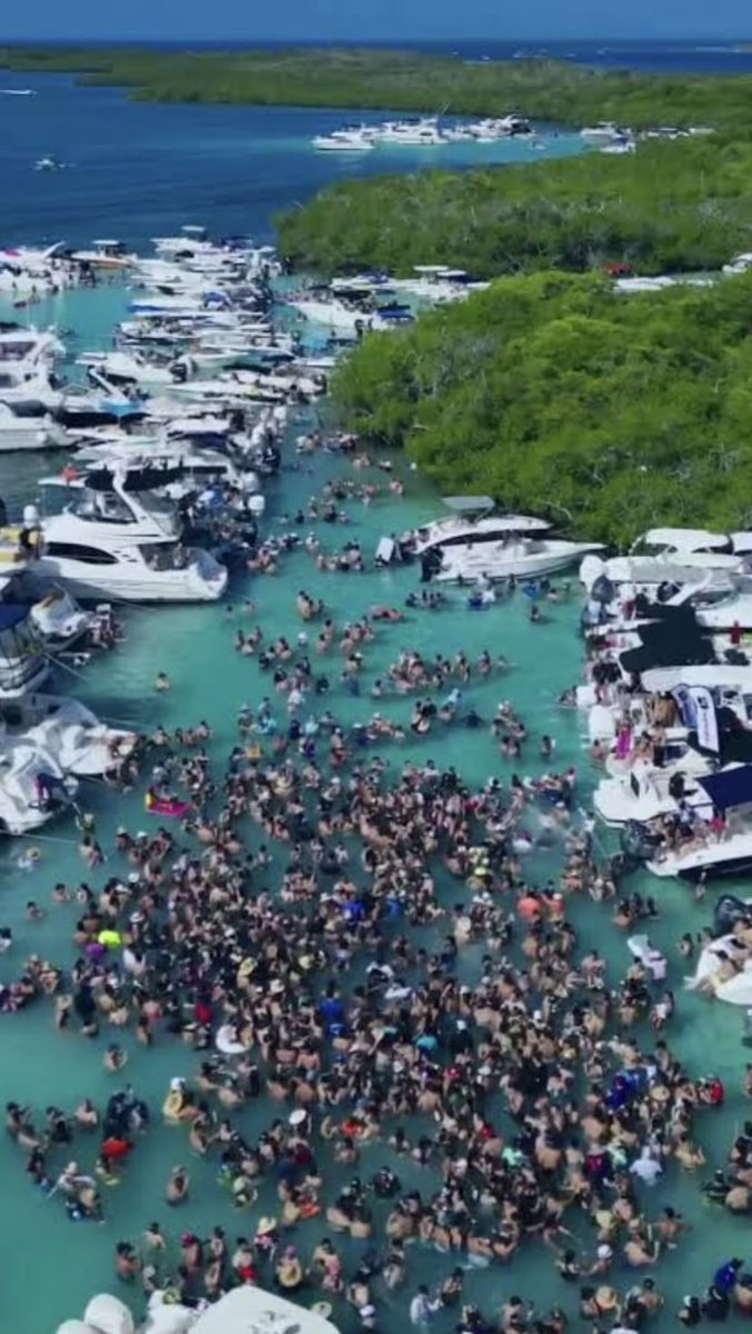 Fundación Caribe Sur tweet media