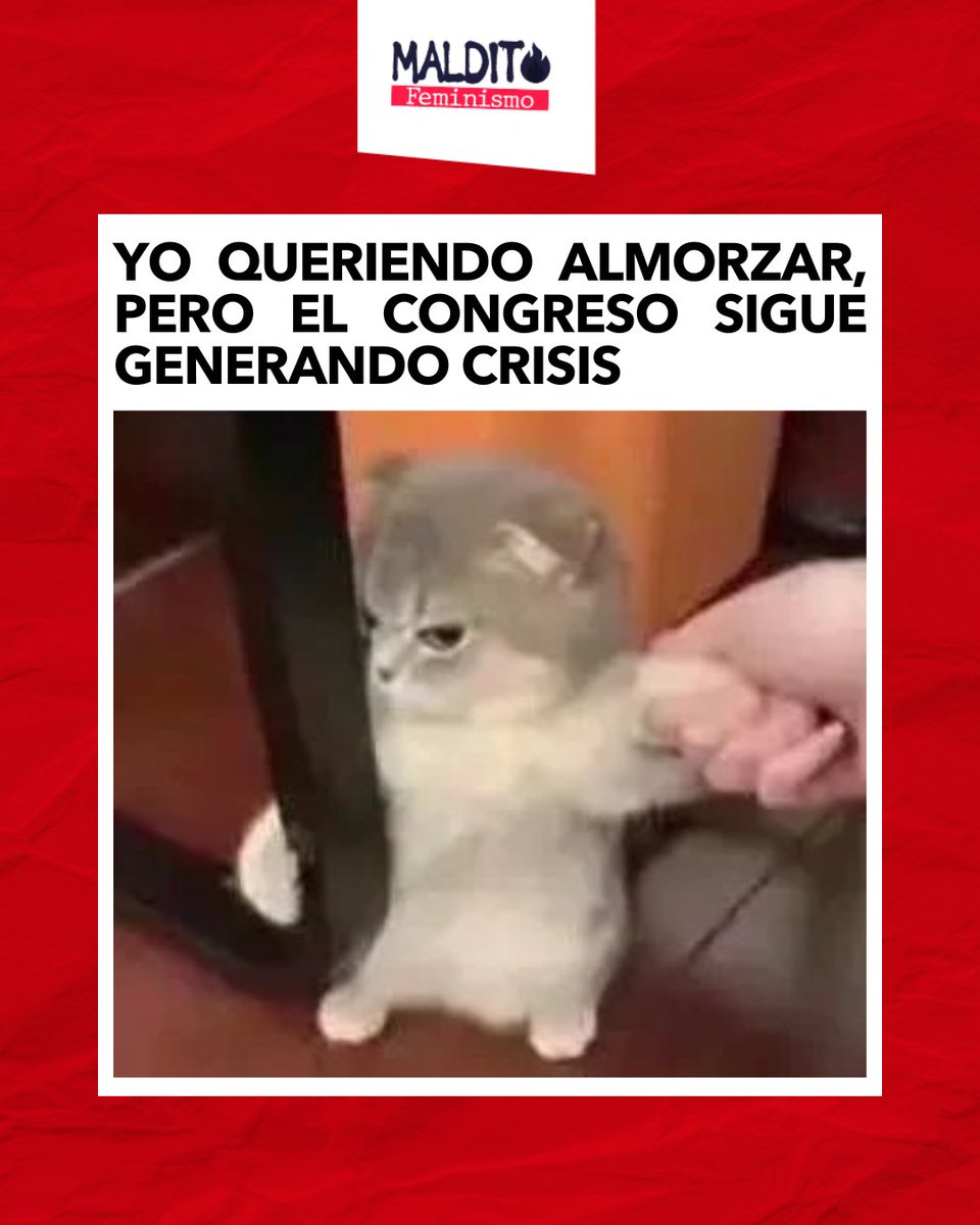 Maldito Feminismo tweet media