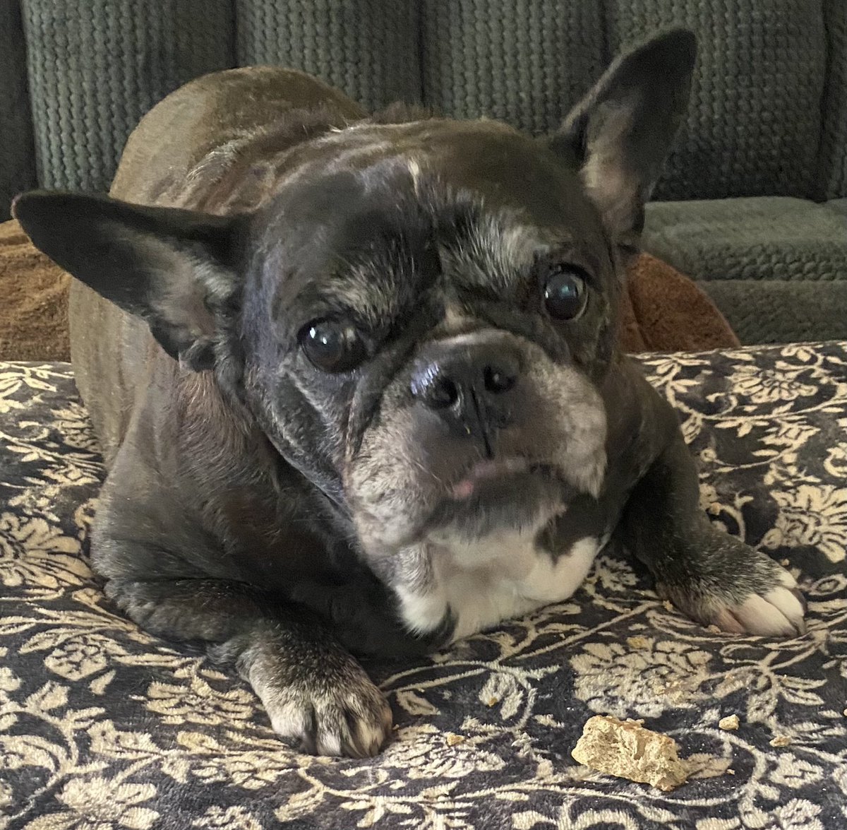 Mary Jo & Penny tweet media