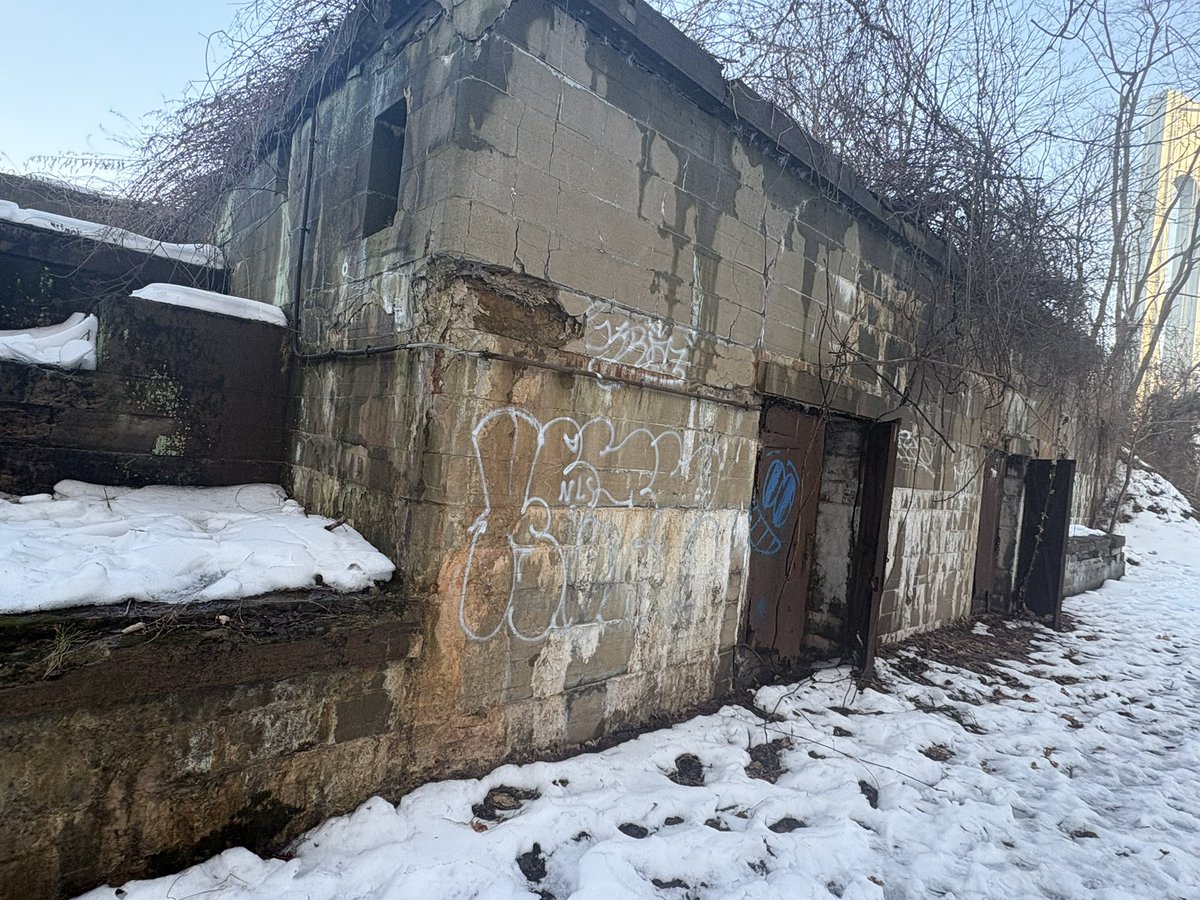 octo 🎸 tweet media