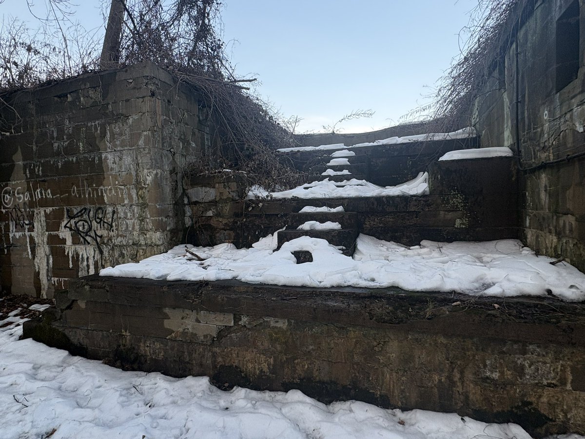 octo 🎸 tweet media