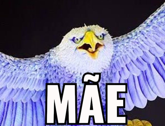 Tem gente que está com a boca cheia falando que fucking Portela vai ser rebaixada, ACORDEM!!

Muito bom lembrar de um velho ditado,
"Não conte com a galinha antes que ela ponha o ovo”! Cuidado, nada está ganho!! 🦅💙🩵